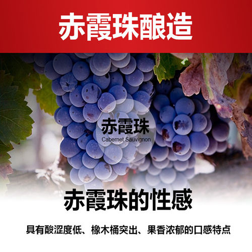 法国进口红酒整箱干红14度赤霞珠葡萄酒中秋年货礼盒过节送礼聚会 - 图2