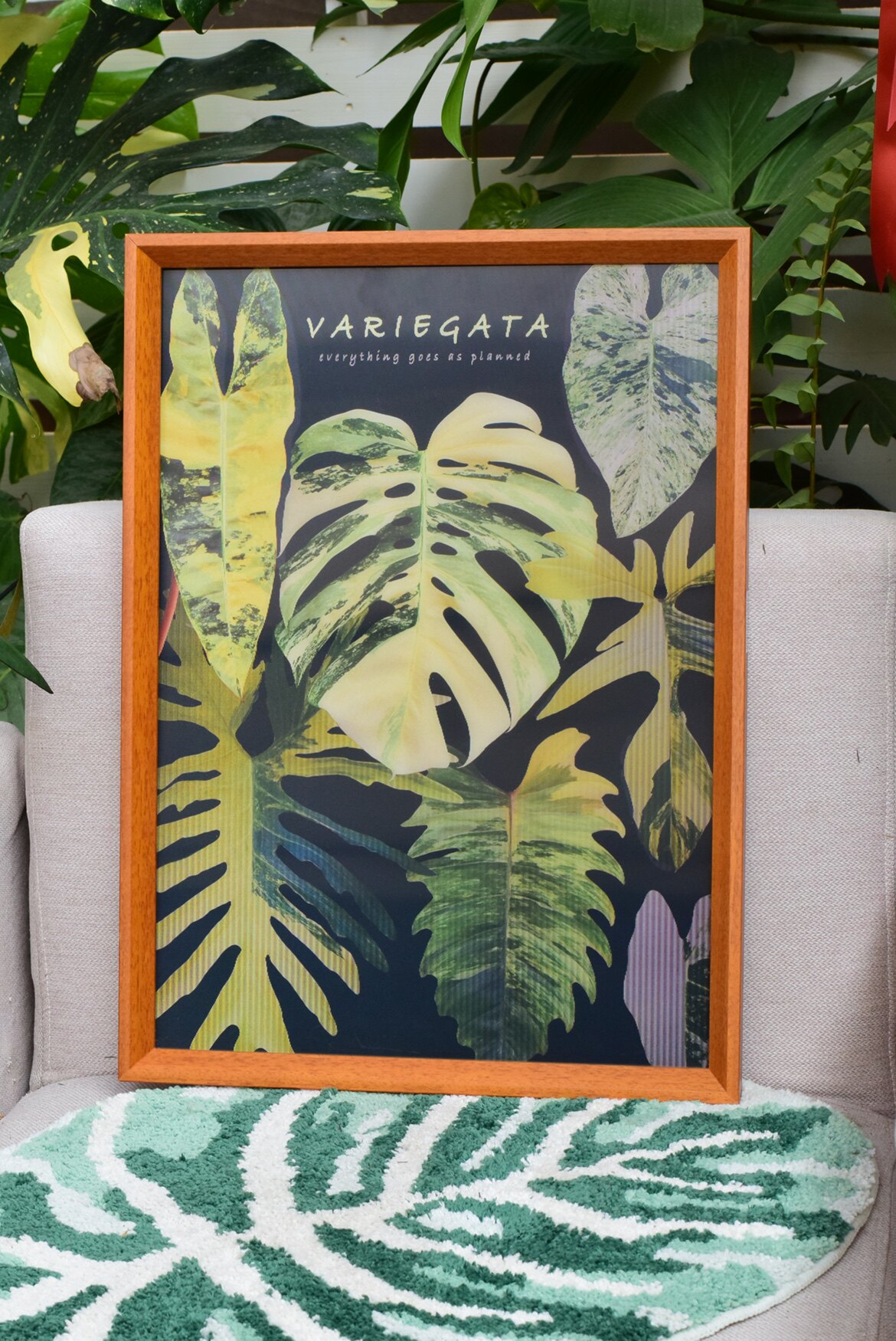 【光栅画】 热植图谱家居装饰生日礼物植物挂画 浇浇植物超市,淘宝优惠券,粉丝福利购,淘宝优惠卷