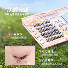 【双11预售】心愿先生免胶假睫毛美鼠了鸟啾啾狐白白胶水款3盒插图2