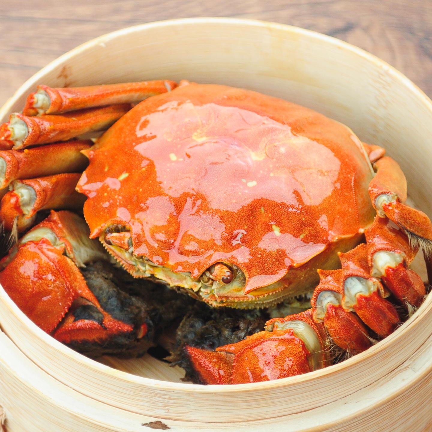 活蟹螃蟹鲜活大闸蟹全母海鲜红膏蟹6-10只阳澄礼盒河蟹湖蟹旗舰店,淘宝优惠券,粉丝福利购,淘宝优惠卷