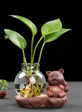 水养玻璃器皿简约现代风招财花瓶