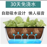 Ленивый самооборотный вид воды, грейпфронты, шелковик 涫 家 籼ㄅ 籼ㄅ 柙 衿 衿 衿 衿 衿 衿 衿 衿 衿 衿 衿 衿