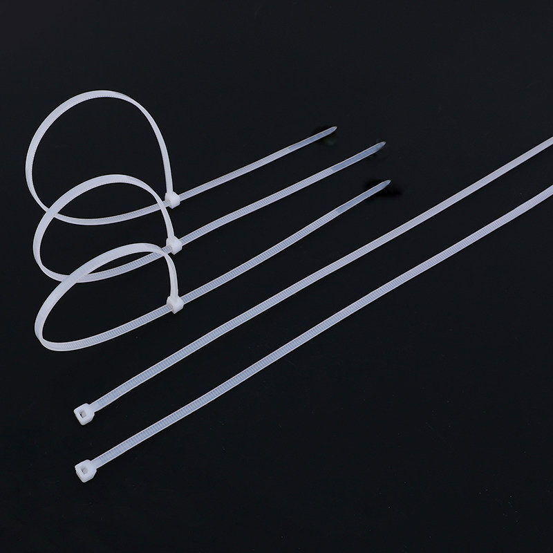 自锁式尼龙扎带4*200固定卡扣理线捆绑扎带 束线塑料勒死狗扎口带,淘宝优惠券,粉丝福利购,淘宝优惠卷