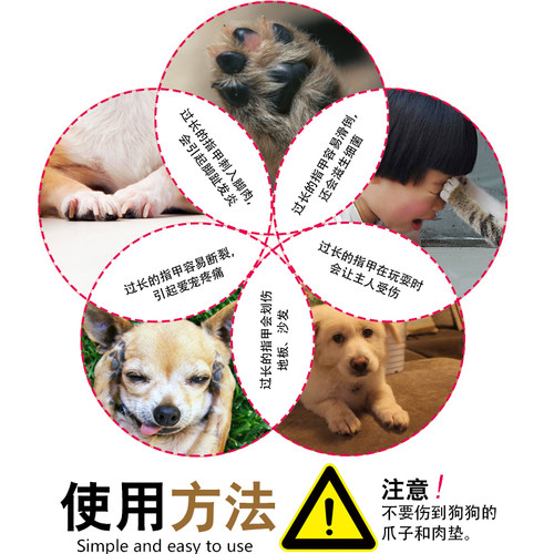 乐比宠物狗狗猫咪指甲钳小型犬泰迪金毛狗指甲刀LB修甲刀猫指甲剪 - 图1