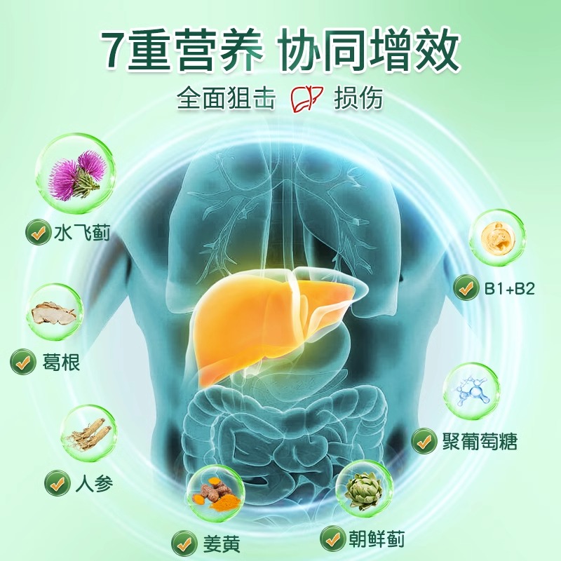 北京同仁堂护肝水飞蓟胶囊奶蓟草解酒肝脏熬夜养肝护肝片官方正品 - 图2