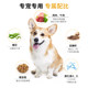 Dad Wang's special formula for Corgi dog food to gain weight and nutrition