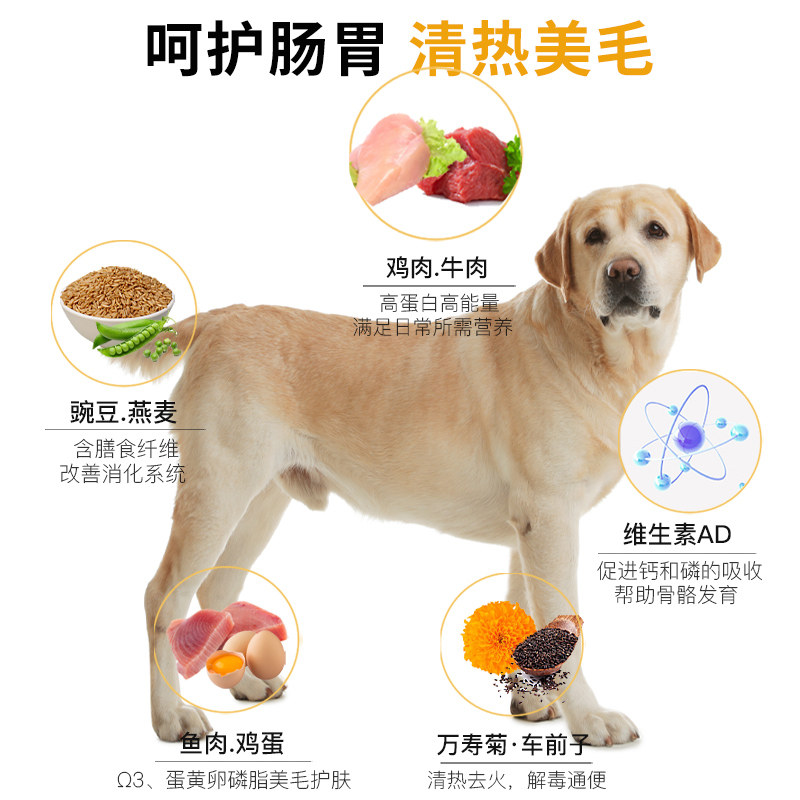 汪爸爸拉布拉多营养搭配幼犬狗粮 汪爸爸犬主粮