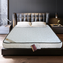 Kirin Home Children Mattress Tatami Slim Mat Eco-friendly Coconut Palm 6 cm Thick Brown Cushion Mini 520