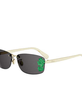 CHRISTIAN DIOR 男士眼镜 DIORCLOVERS1IB0A0 SS2026支付后1h可退