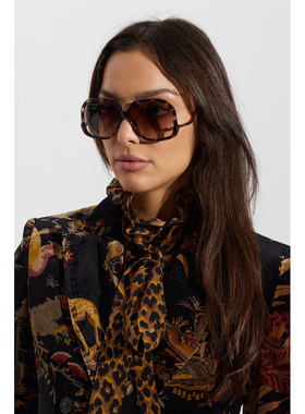 CHLOÉ 女士太阳镜 CH0404S0003 CO 棕色 Sunglasses