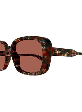 1h可退 CHLOÉ 女士眼镜 CH0225SK004 AW2024 棕色 徽标太阳镜