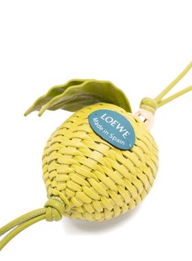 LOEWE 女士项链 C621232XOZ4100 AW2025 金色挂件吊坠