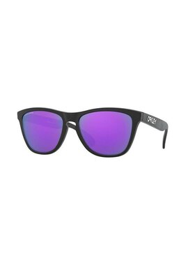 Oakley欧克利FROGSKINS OO9013 9013H6男士太阳镜