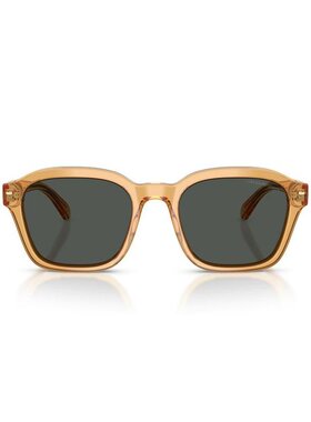 EMPORIO ARMANI 男士太阳镜 EA4245U624687 CO 黄色