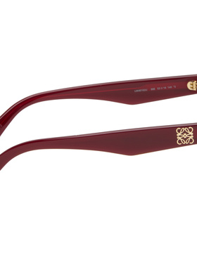 LOEWE 女士眼镜 LW40182U66E SS2026 罗意威 棕色全框太阳镜