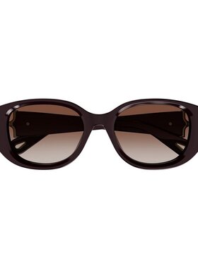 1h可退 CHLOÉ 女士眼镜 CH0237SK003 AW2025 棕色 椭圆形太阳镜