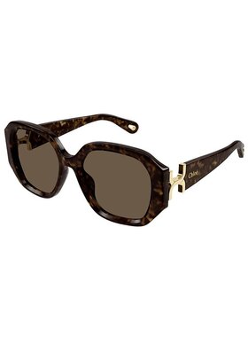 1h可退 潮奢 Chloe 蔻依 女士 -sunglasses 太阳镜 CH0236S002DHB