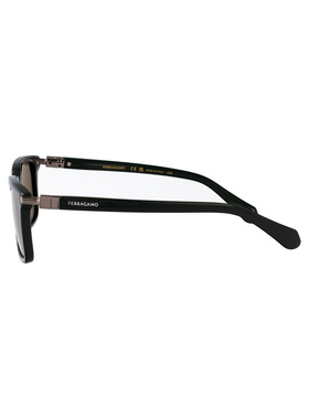 SalvatoreFerragamo菲拉格慕SF1110S男士太阳镜 【付后1h可退】