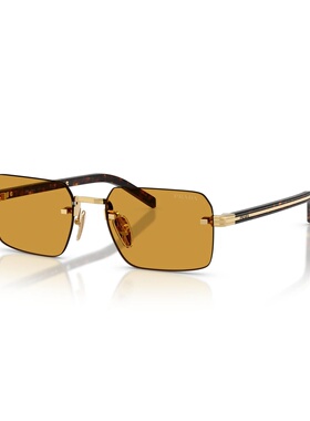 PRADA 男士眼镜 PRD55S5AK50P SS2026 棕色 无框太阳镜