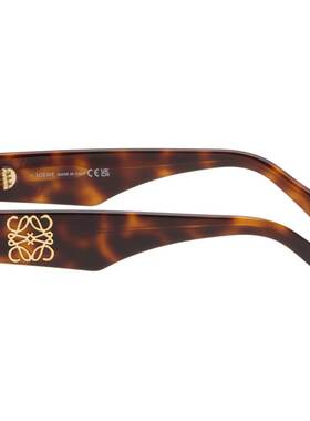 LOEWE 罗意威 男士 棕色太阳镜 LW40101IW4652EDARKHAVANABROWN