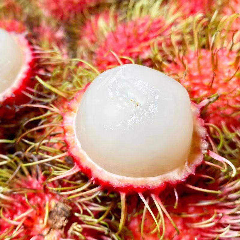 顺丰包邮海南保亭红毛丹新鲜水果毛荔枝孕妇水果礼盒树上熟大果,淘宝优惠券,粉丝福利购,淘宝优惠卷