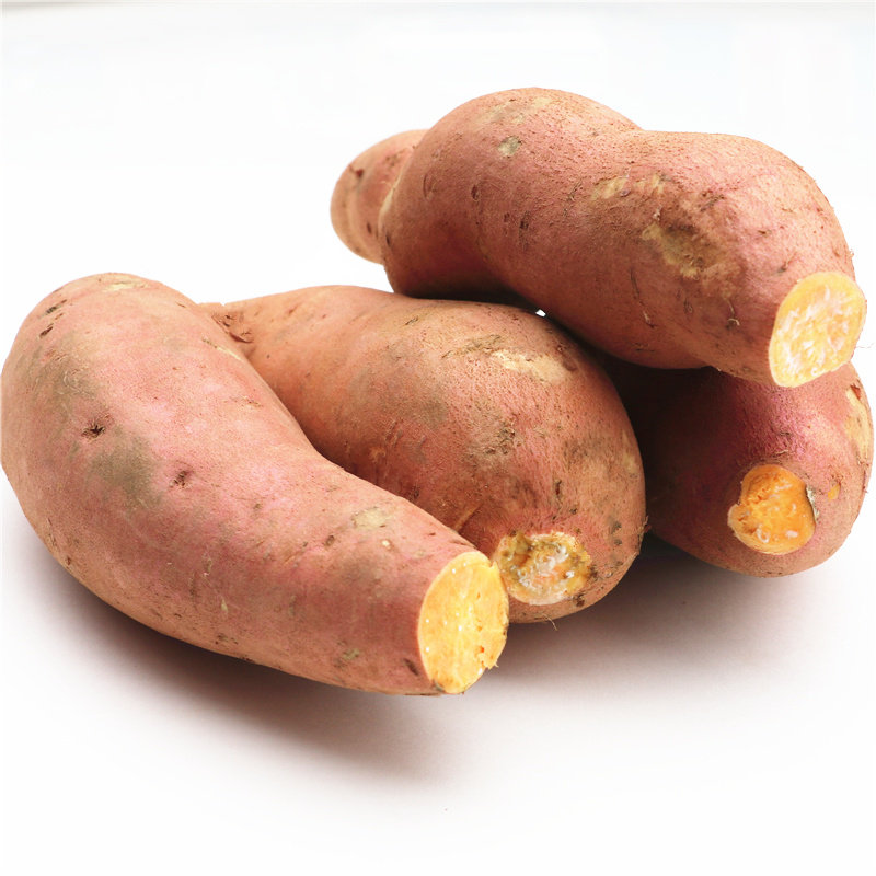 楼兰露丝新鲜番薯农家蜜薯5斤板栗 楼兰露丝番薯