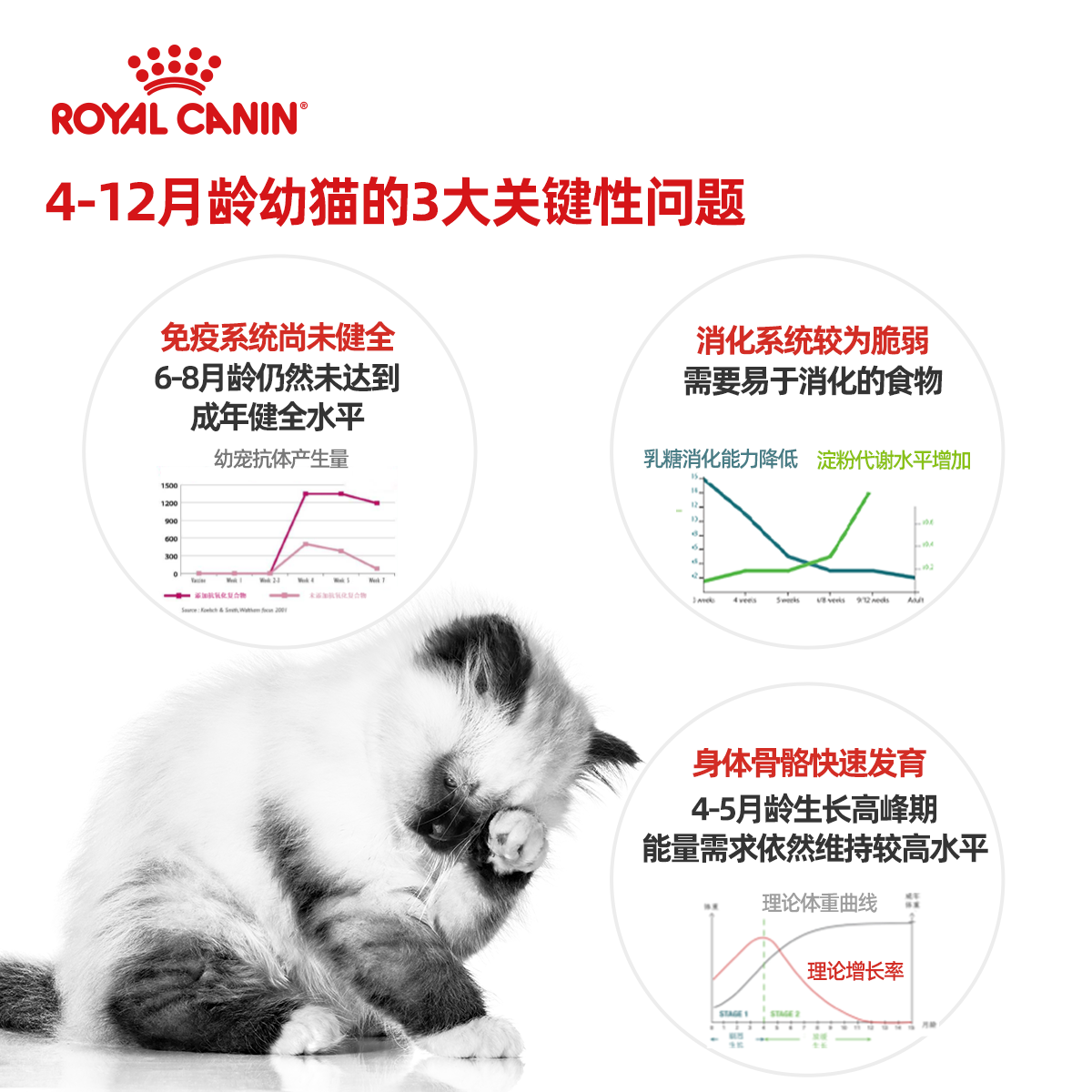 皇家猫粮幼猫专用K36/BK34奶糕猫孕猫母猫离乳期营养猫奶糕粮