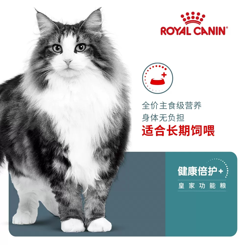 皇家猫粮去毛球成猫粮IH34英短蓝猫美短布偶猫营养猫咪主粮2KG