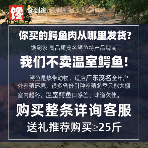 200克鳄鱼肉干 高品质煲汤料干货赠送汤料包非泰国进口非即食特产 - 图1
