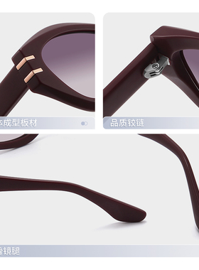 近视墨镜可配度数2026新款高级感