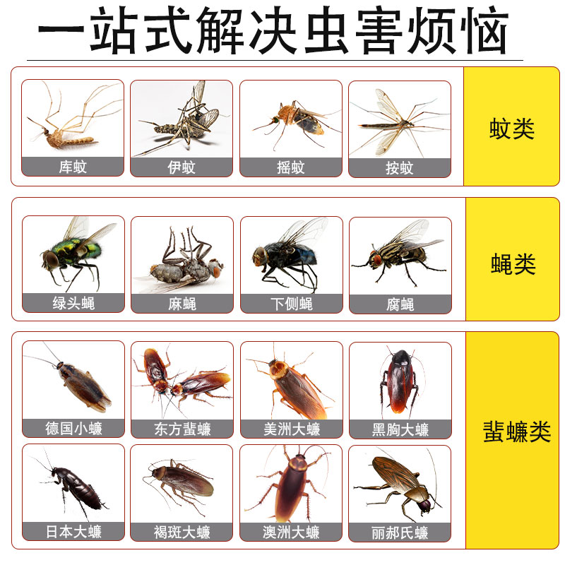 日本下水道杀虫剂灭杀小飞虫神器厕所卫生间室内管道驱虫除蛾蠓药 - 图1