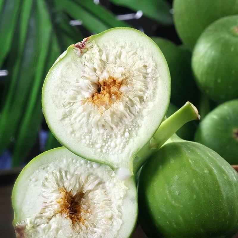 广西新鲜无花果青皮鲜果孕妇水果现摘发3斤青皮生无花果煲汤药用5,淘宝优惠券,粉丝福利购,淘宝优惠卷