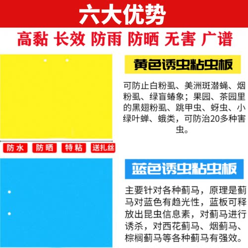 双面黄蓝粘虫板果园大棚黏虫板沾虫果蝇粉虱蓟马灭小飞虫整箱诱虫 - 图1