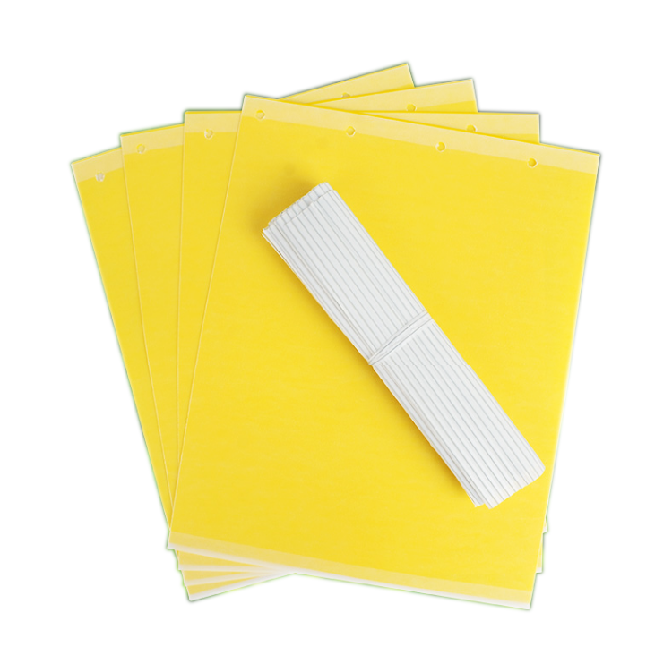 双面粘虫板大棚果树瓜菜园黄板沾小黑飞防虫贴纸蓟马蓝板诱虫板,淘宝优惠券,粉丝福利购,淘宝优惠卷