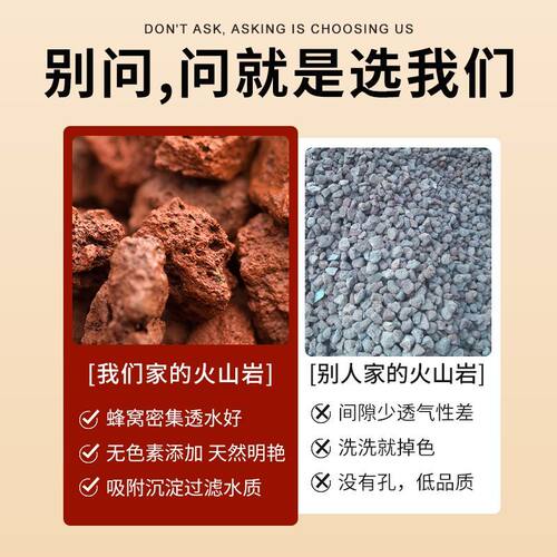 火山石颗粒养花兰花专用养鱼造景兰花多肉铺面石透气鱼缸火山岩 - 图3