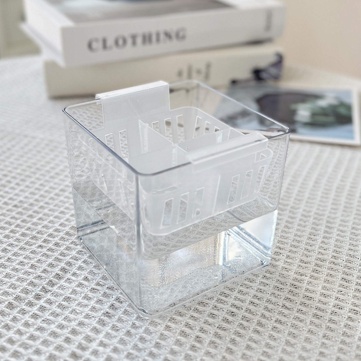 水培郁金香塑料花盆水养种球玻璃器皿含定植篮透明郁金香花瓶,淘宝优惠券,粉丝福利购,淘宝优惠卷