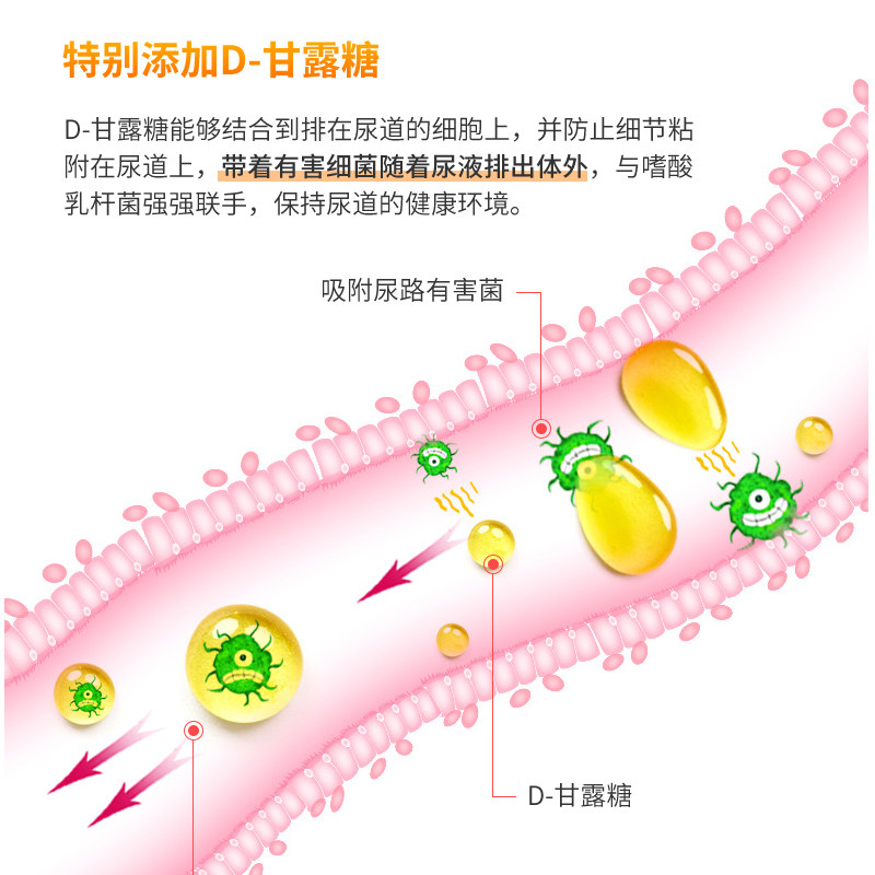蔓越莓尿频尿急尿不尽夜尿多胶囊 zahler海外蔓越莓