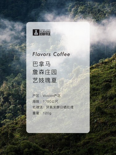 斯奔 巴拿马詹森庄园瑰夏咖啡艺妓厌氧日晒精品咖啡豆可磨粉 - 图0
