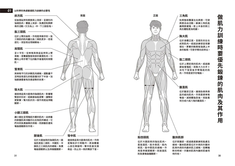 现货 科学化自主肌力训练教科书 新版 24  坂诘真二  常常生活文创  进口原版 - 图2