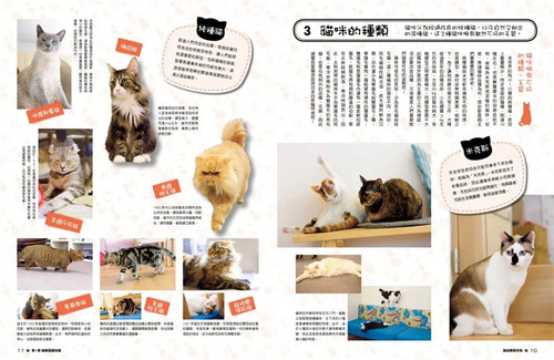 现货正版 原版进口图书 笠仓出版社《猫奴教战手册》枫书坊 - 图0