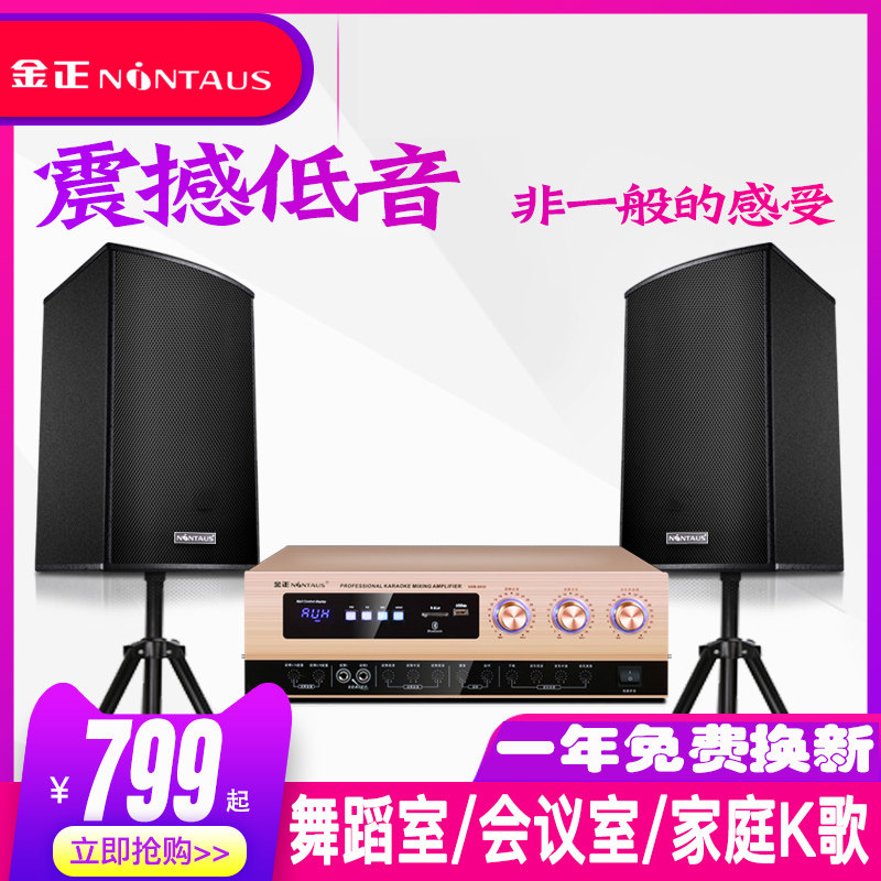 金正v8舞蹈室音响专用家庭壁挂音箱 华睿影音KTV/卡拉OK音箱