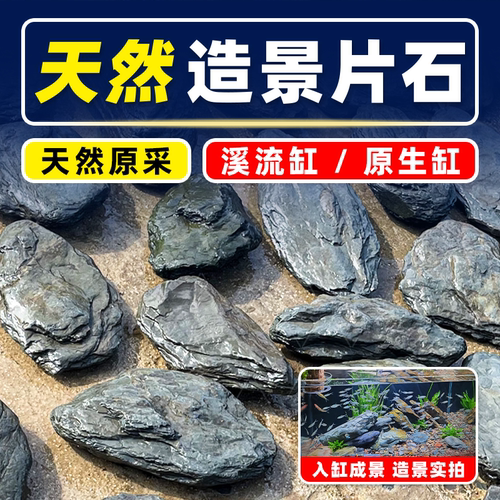 原生溪流石片石南美缸造景大块爬台三湖铺底主石底沙异形乌龟晒台 - 图2