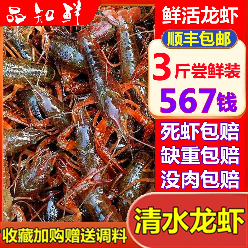 小龙虾鲜活567钱盱眙活体非青虾红虾淡水虾清水活虾生鲜3斤包邮 - 图0