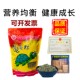 Inch golden turtle food turtle food turtle food turtle food