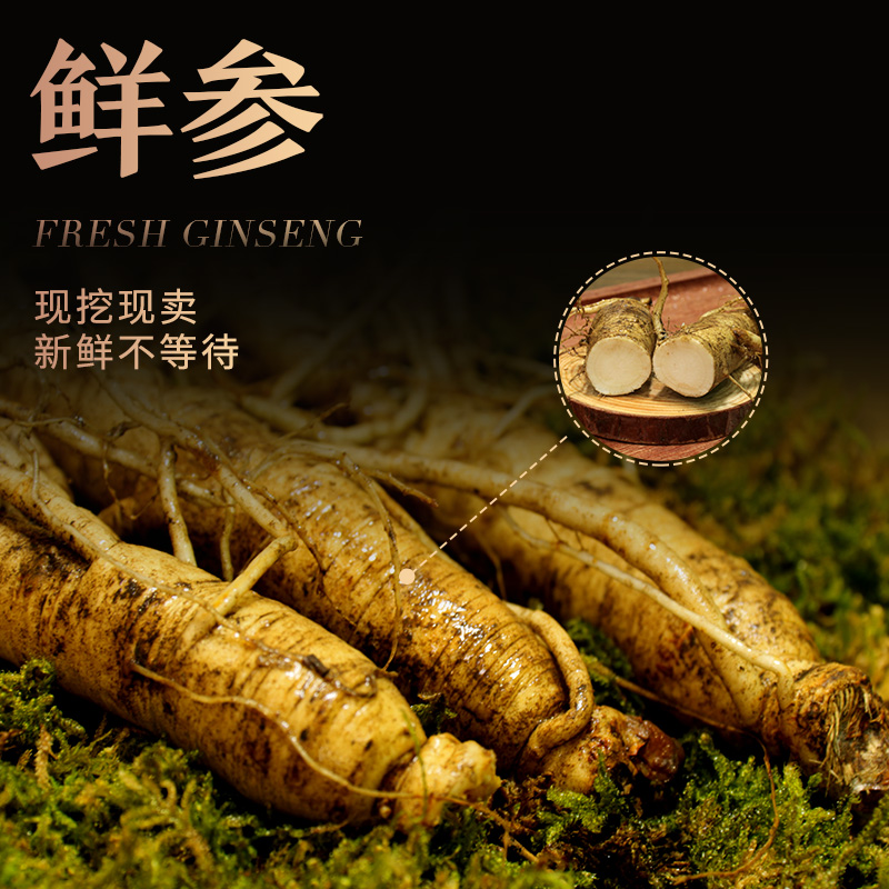 新鲜人参东北人参皂苷rh2东北特产人参现挖鲜参东北特产泡酒煲汤