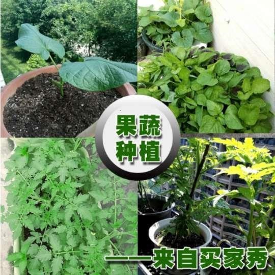 花土营养土通用型种花养花种菜土壤30斤大包种植土壤有机肥料包邮-图3