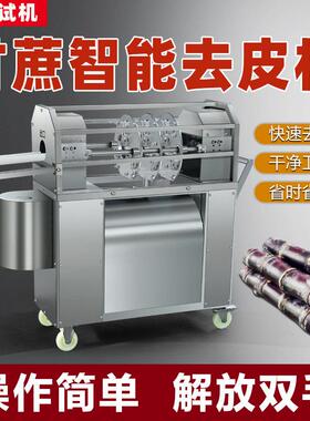 甘蔗削皮切断清洗一体机商用甘蔗去皮机小型自动甘蔗去皮机