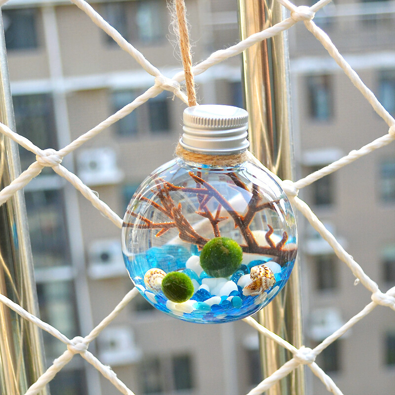 幸福海藻球微景观diy球藻marimo生态瓶装迷你小植物水培创意礼物-图1