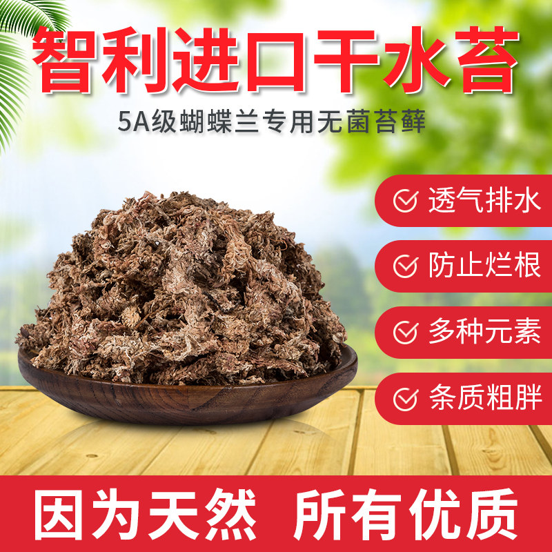 干苔藓 新人首单立减十元 21年7月 淘宝海外