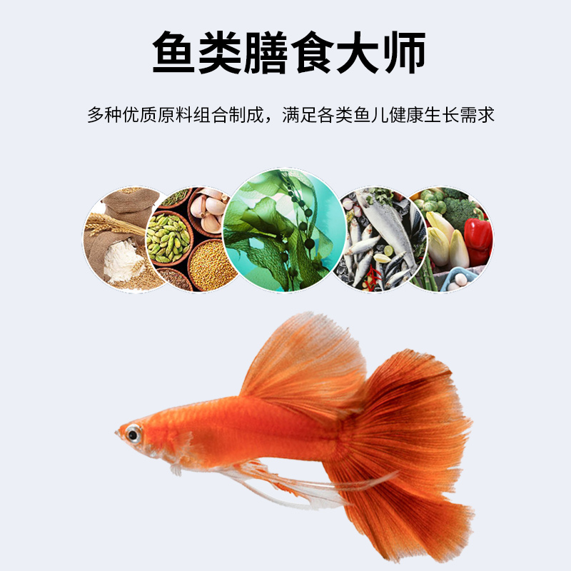 博特孔雀鱼饲料小颗粒鱼粮丰年虾卵鱼食斗鱼金龙鱼锦鲤热带鱼饲料-图3